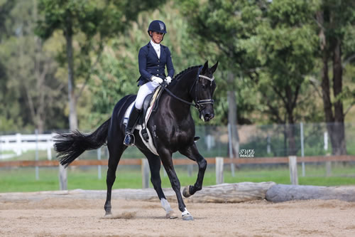 KEA Training Stable - About Us