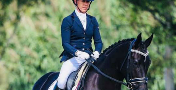 Riding Lessons, Dressage, Hacking & Horse Training