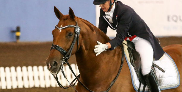 Riding Lessons, Hacking, Dressage & Horse Training