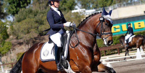 Riding Lessons & Horse Training, Sydney Hawkesbury NSW