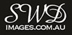 SWD Images